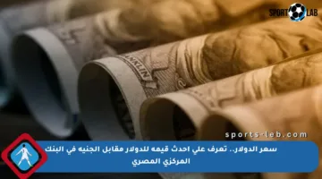 سعر الدولار.. تعرف على أحدث قيمة للدولار مقابل الجنيه في البنك المركزي المصري